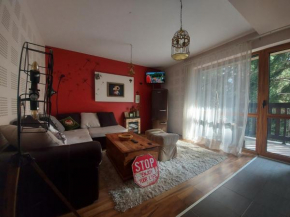 1 Bedroom cozy flat Pamporovo